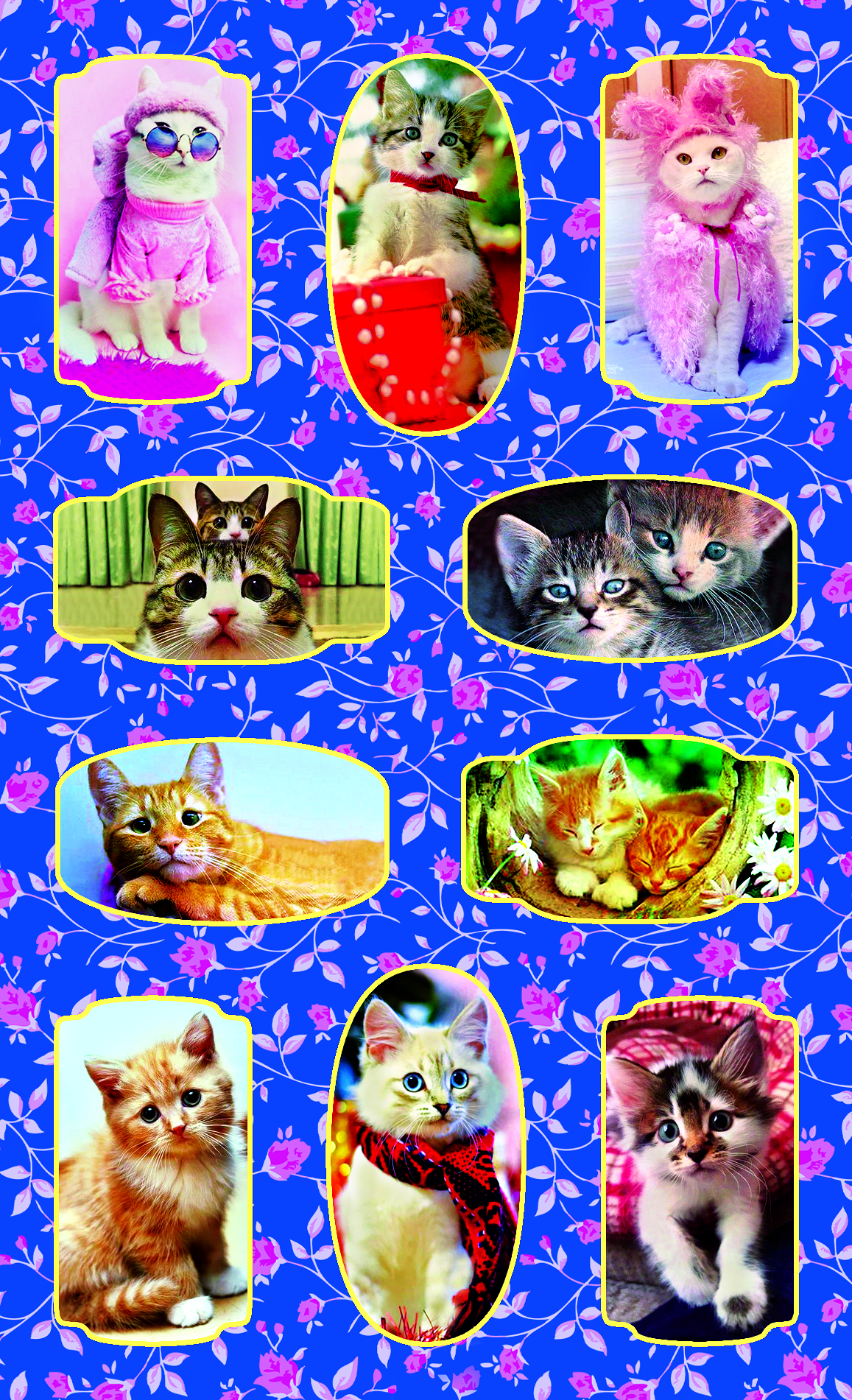 na0206