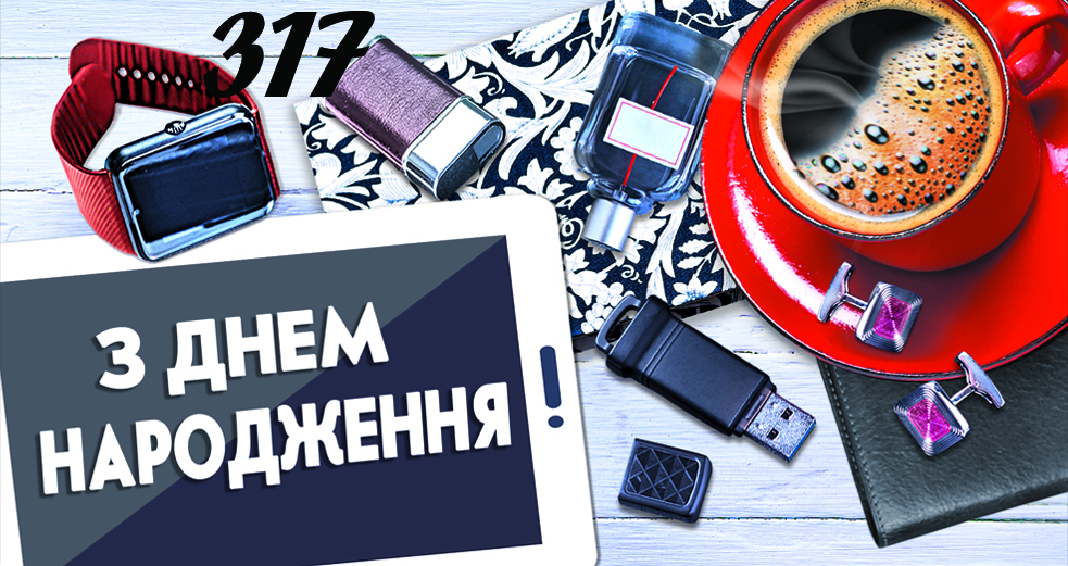 317у копия