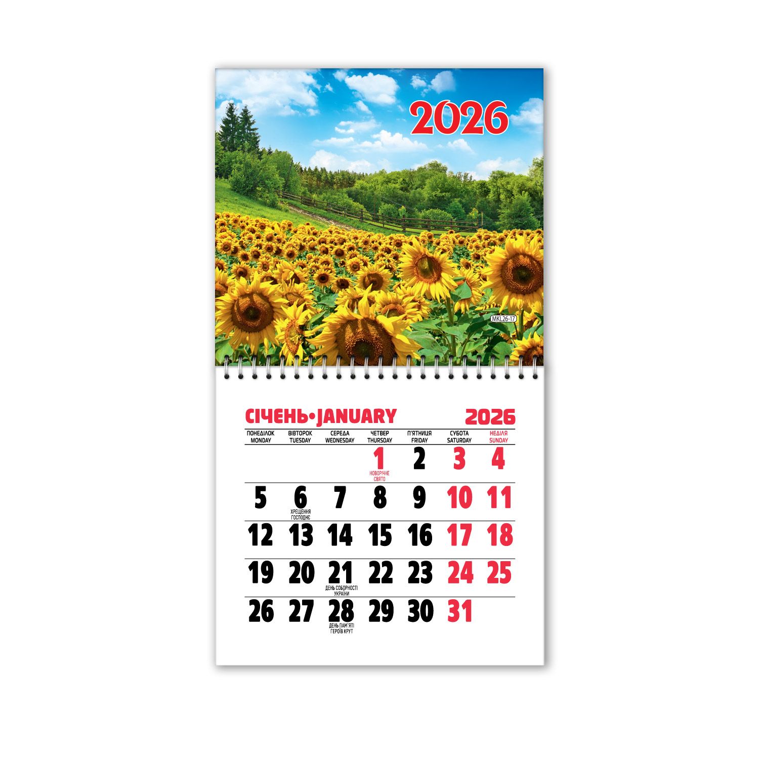 17